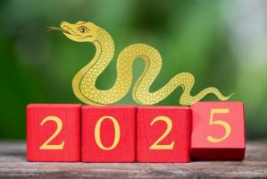 2025年屬蛇本命年穿什么顏色