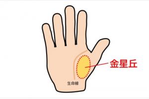 金星丘飽滿是什么意思