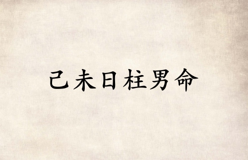 己未日柱男命運詳解