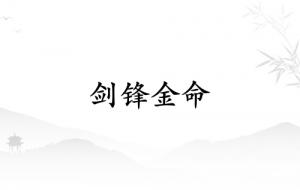 劍鋒金命和什么命最配
