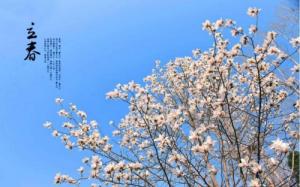 卜算子算命網(wǎng)