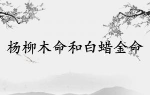 楊柳木命和白蠟金命相配嗎