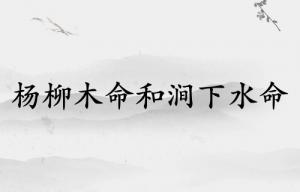 楊柳木命和澗下水命配嗎
