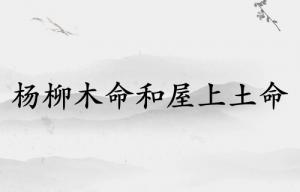 楊柳木命和屋上土命相配嗎