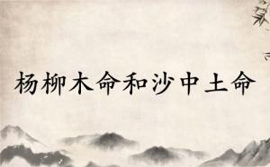 楊柳木命和沙中土命相克嗎