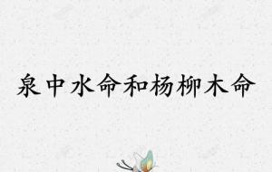 泉中水命和楊柳木命配嗎