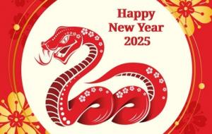 77年屬蛇2025年運(yùn)勢(shì)如何