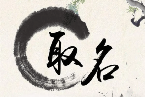 姓名32畫和25畫哪個更生僻