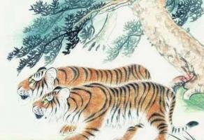 屬虎的佩戴什么最旺