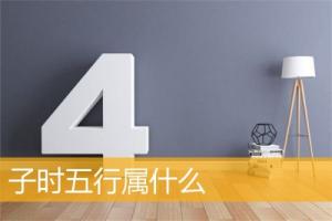 子時五行屬什么