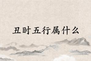 丑時五行屬什么