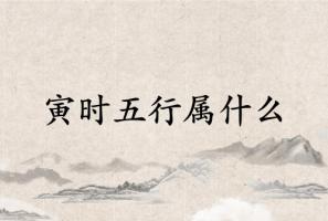 寅時五行屬什么