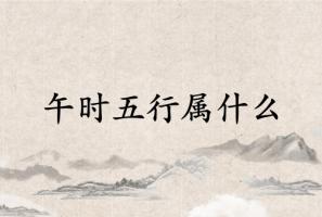 午時五行屬什么