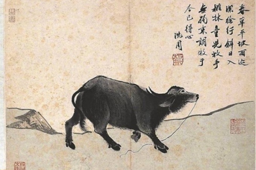 丑時屬什么生肖