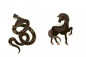 屬蛇和屬馬合不合