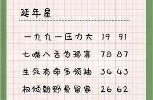 數字能量之延年星的含義和特征