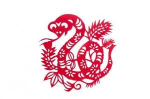 屬蛇農歷幾月出生富貴雙全