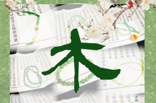五行缺木的女人怎么改變運勢