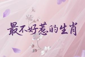 十二生肖中最不好惹的生肖是哪個生肖？