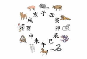 12生肖出生年月與五行對照表