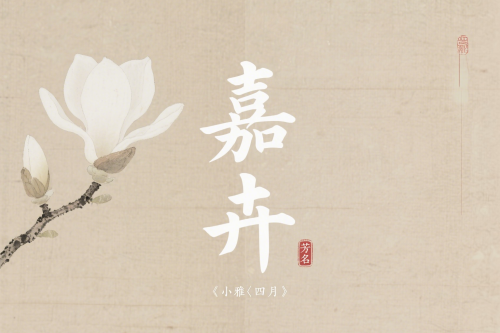 女孩詩經楚辭中的絕美名字