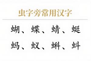 蟲字旁的字有哪些