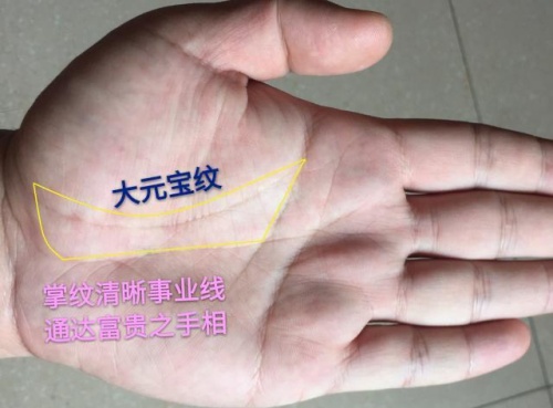 女人左手元寶紋暗示什么 女人左手元寶紋暗示什么