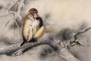 屬猴男愛你入骨的表現