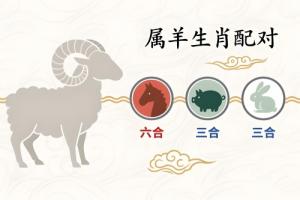 屬羊的三合和六個合生肖是什么