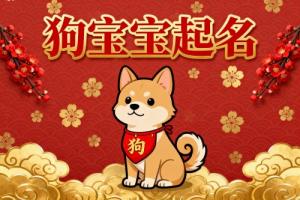 屬狗適合用什么字取名字