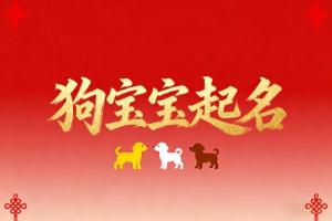 屬狗男孩取名字寓意好的字