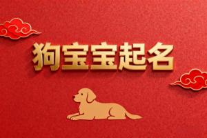 屬狗女孩高雅有涵養的名字