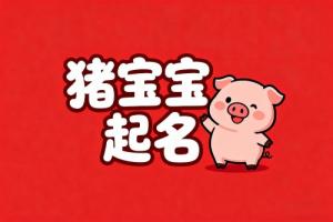 屬豬男孩最吉利的名字