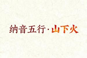 八字納音五行解析山下火