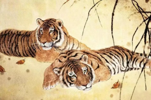 屬虎的最佳婚配和最忌婚配 屬虎的最佳婚配和最忌婚配