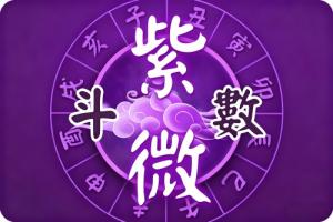 紫微斗數看配偶長相