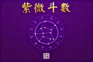 紫微看配偶年齡怎么看