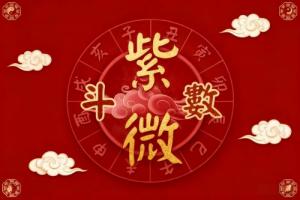 紫微斗數怎么看流年走到哪個宮