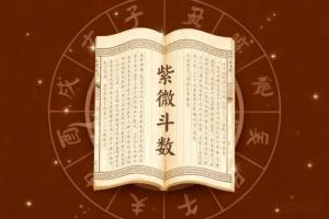 紫微斗數怎么看正緣出現時間