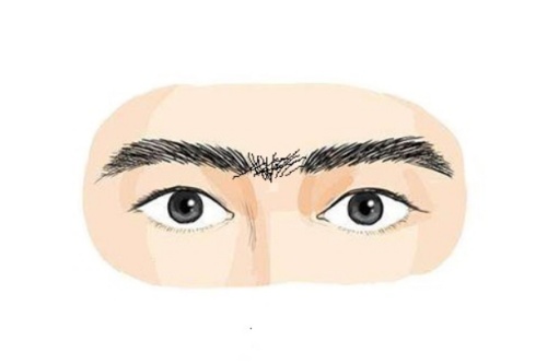 眉毛相連的男人怎么樣