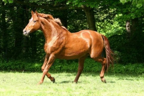 十馬九苦,哪個月份最苦 十馬九苦,哪個月份最苦