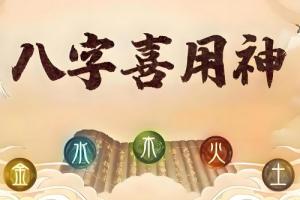 八字用神是什么意思