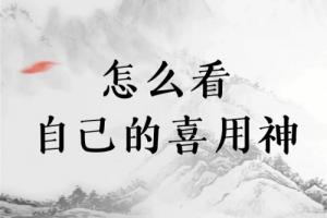 怎么看自己的喜用神