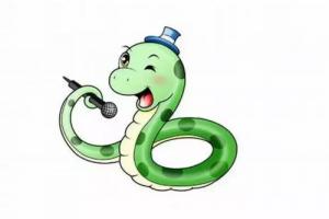 屬蛇的人適合戴什么