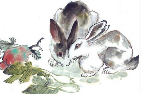 兔年分別是哪一年 兔年分別是哪一年