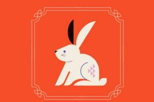 63年兔男2026年運勢及運程詳解