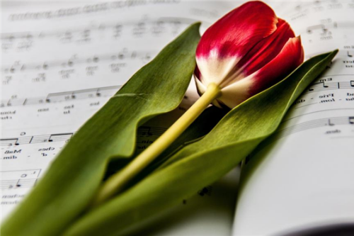 2026年喜事臨門(mén)的生肖