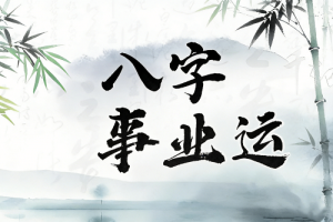 女命進政府工作的八字