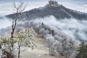 2026正緣紅鸞星動的日柱