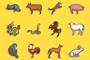 2026年運程最好的六個生肖